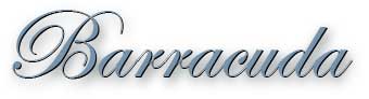 barracuda title
