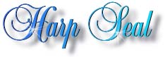 harp_seal_title
