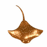 animated manta ray