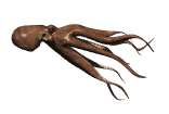 animated_octopus