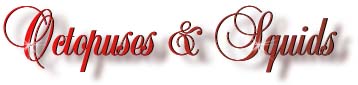 octopus_title