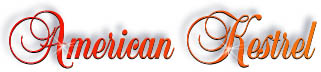 kestrel_title