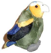 plush_st_vincent_parrot