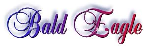 bald_eagle_title