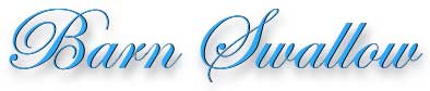 barn_swallow_title