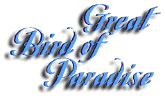 birdofparadise_title
