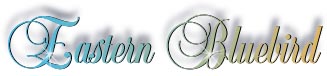 eastern_bluebird_title