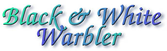 bwwarbler_title