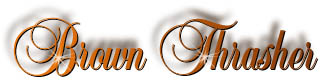 brown_thrasher_title