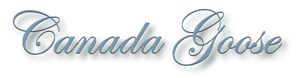canada_goose_title