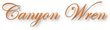 canyon_wren_title