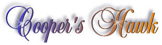 coopers_hawk_title