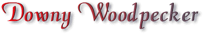 downy_woodpecker_title