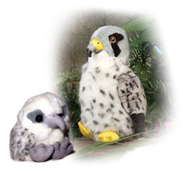 plush_gyrfalcons