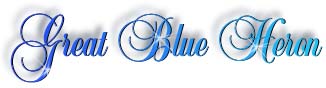 blue_heron_title