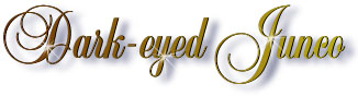 junco_title