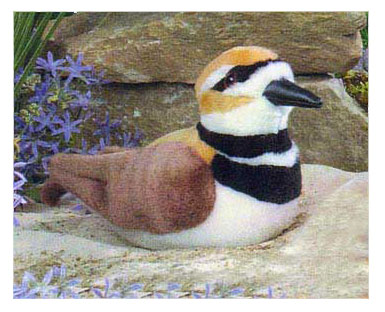 plush_killdeer
