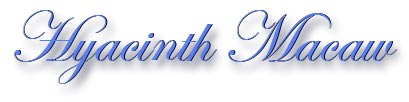 hyacinth_title