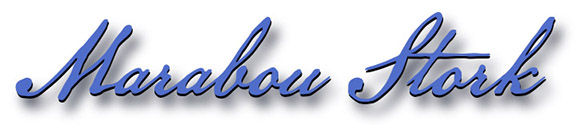 marabou_stork_title