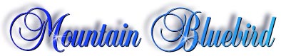 mountainbluebird_title