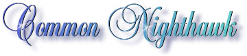 nighthawk_title