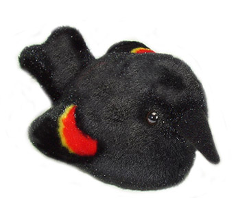 plush_red_winged_blackbird
