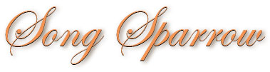 song_sparrow_title