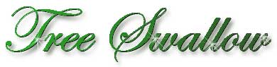 tree_swallow_title
