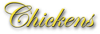 chickens title
