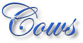cows_title
