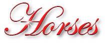 horse_title