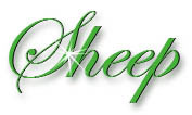 sheep title