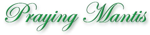 praying_mantis_title