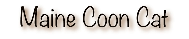 maine_coon_title