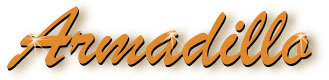 armadillo_title