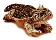 horned_lizard_stuffed_animal