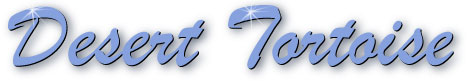 tortoise_title