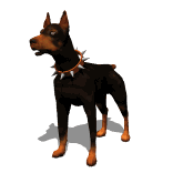 animated_doberman