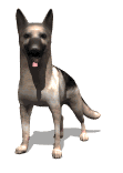 animated_german_shepherd