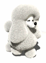 animated_poodle