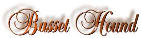 basset_hound_title