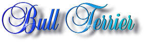 bull_terrier_title