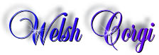corgi_title