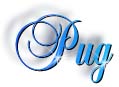 pug_title