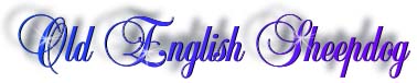 sheepdog_title