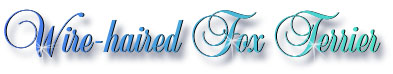 fox_terrier_title