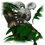 animated_koala