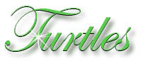 turtle_title