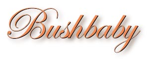 bushbaby_title