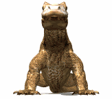 animated_komodo_dragon